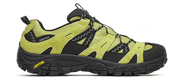 Shoe image